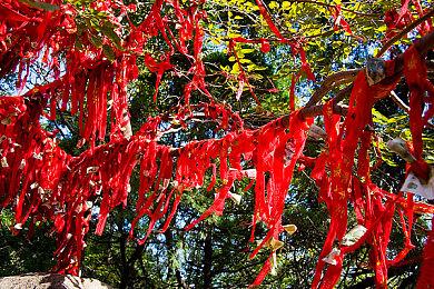 小岛秀夫公开新宣传图 并配文“开始新的旅程”