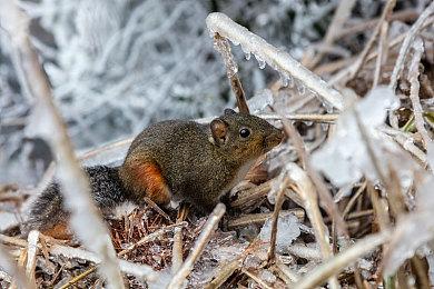 RPG《星之海》公布发售宣传片 展示新可玩角色